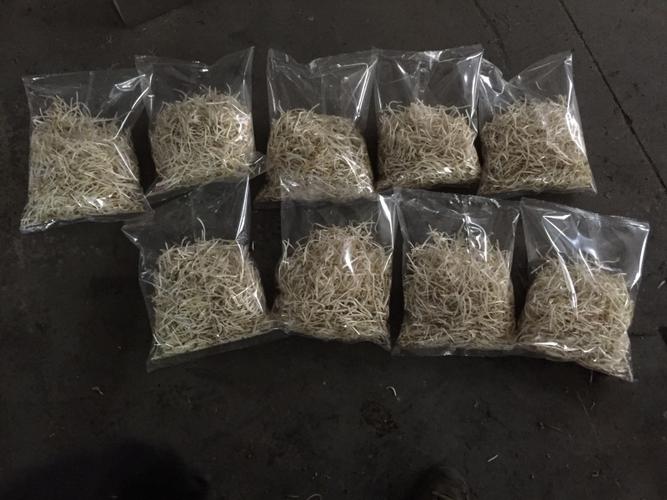 蔬菜豆芽酸笋全自动称重包装机厂家直销